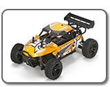 ECX 1/24 Roost 4WD